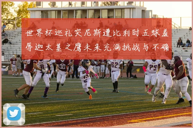 世界杯巡礼突尼斯遭比利时五球羞辱迦太基之鹰未来充满挑战与不确定性